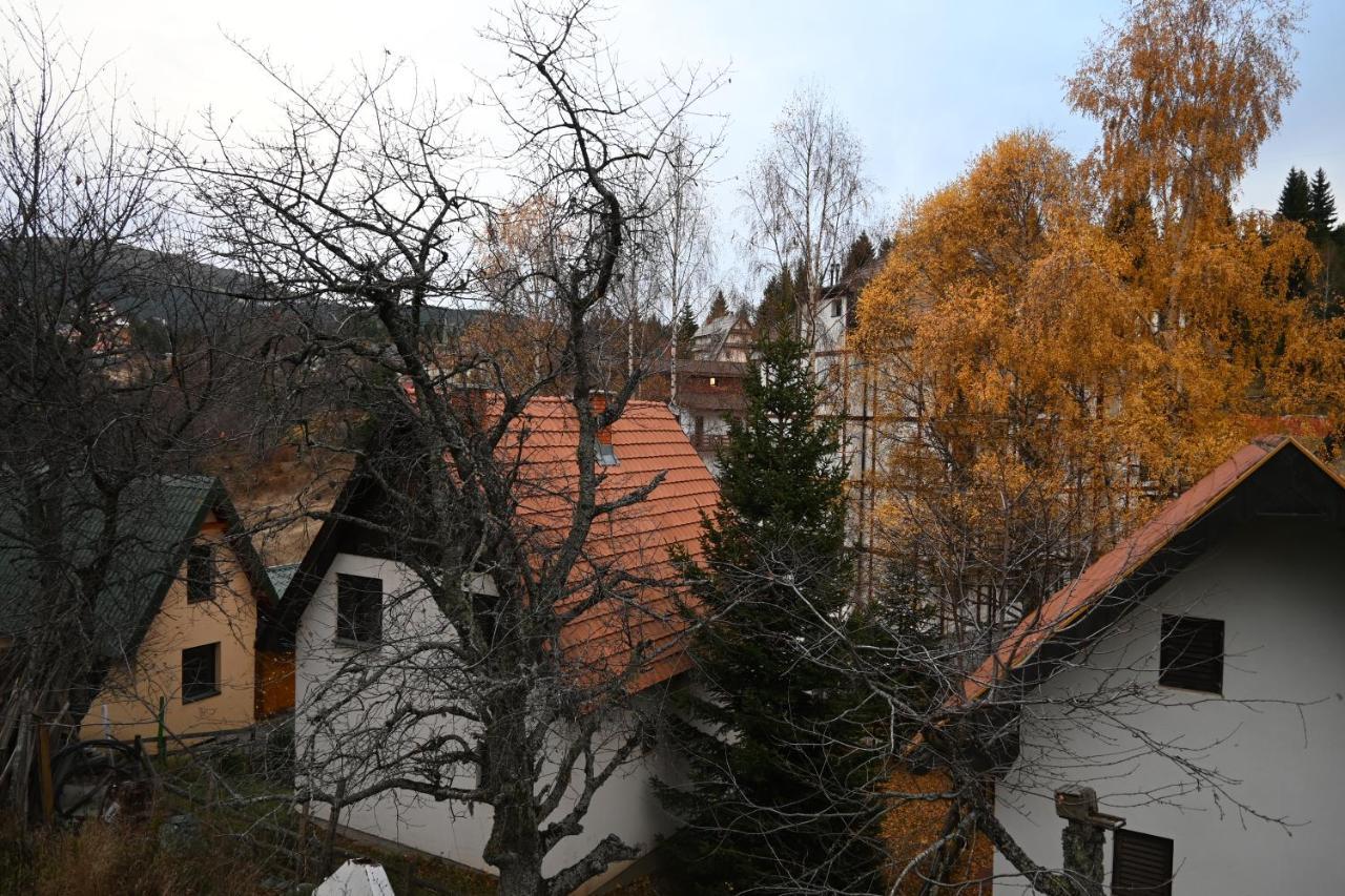 Apartman Vukasin Kopaonik Zewnętrze zdjęcie